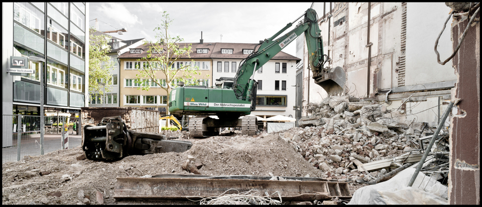 Wild Animal - ID 001314