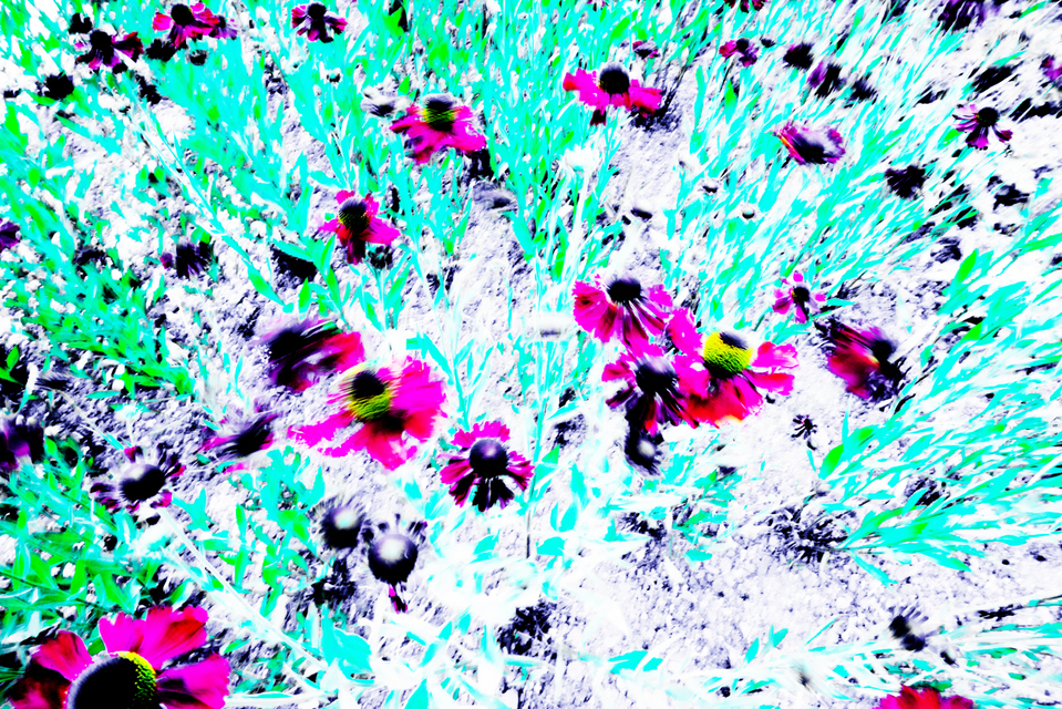 Solarisation Game - ID 001365