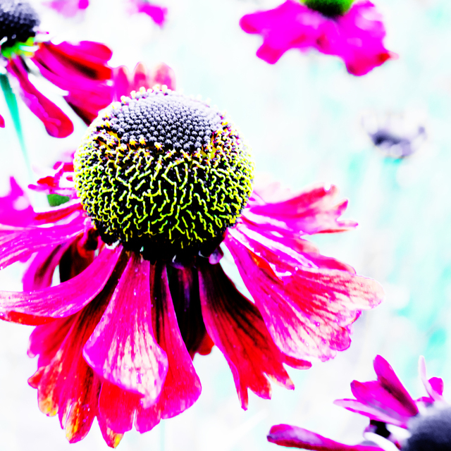 It Feel So Right - ID 001366