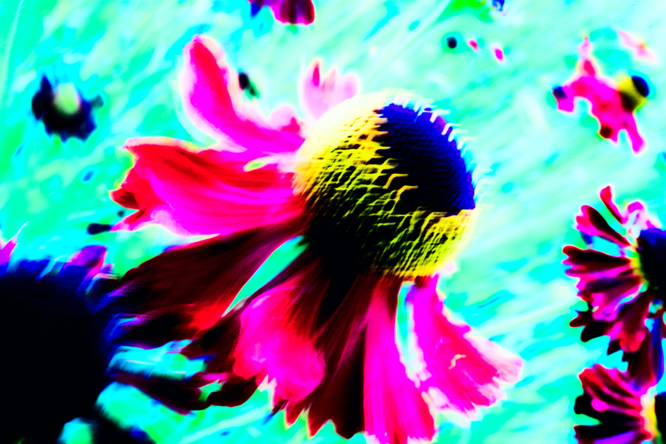 Shuttlecock I - ID 001368