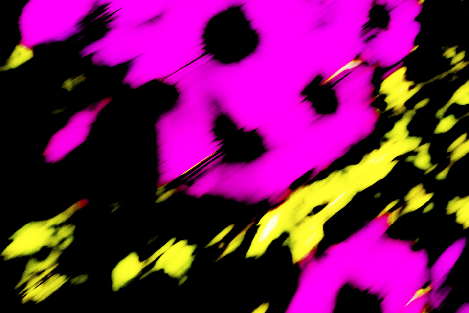 Pink Flowers I - ID 001370