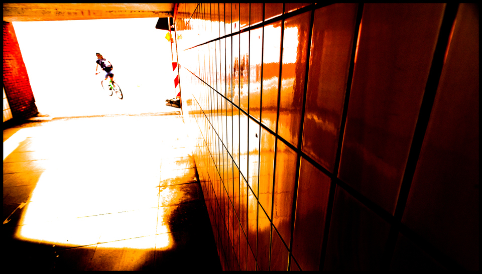 Into the Light - ID 001379