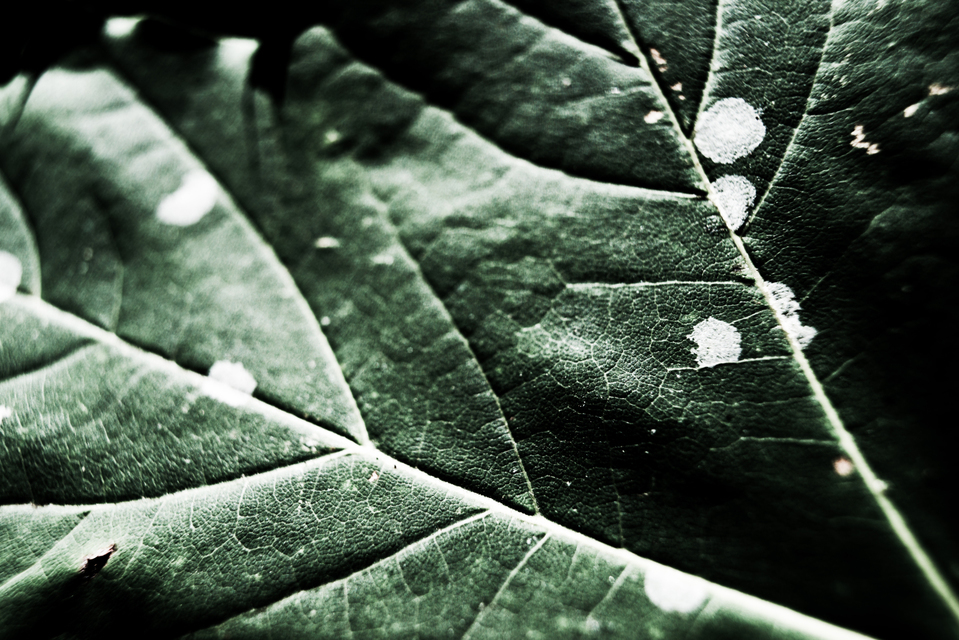 Not Perfect - ID 001462