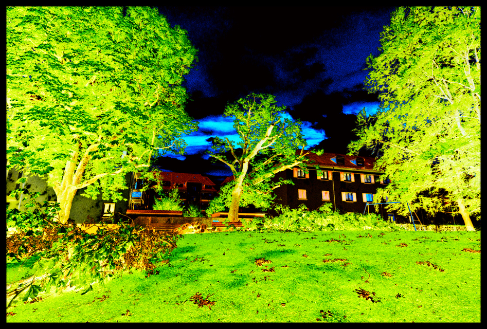 Cut Tree - ID 001510