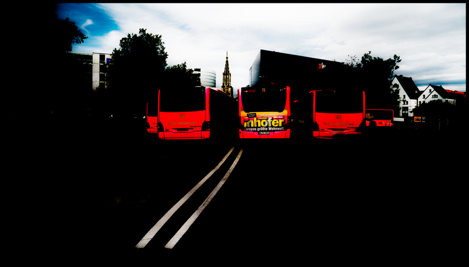 Red Back - ID 001513