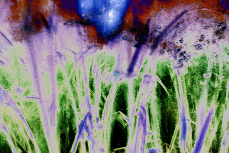 Impression I - ID 001537