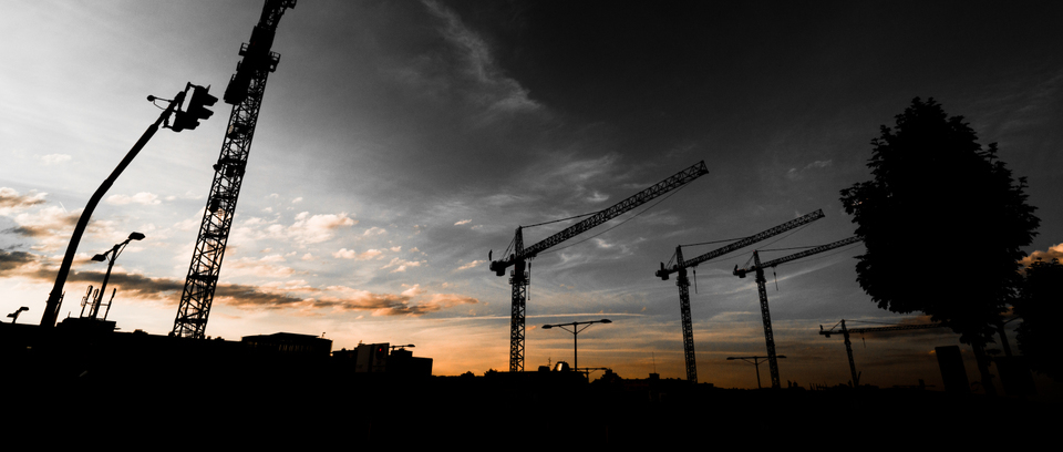 Five Cranes In Row - ID 001540