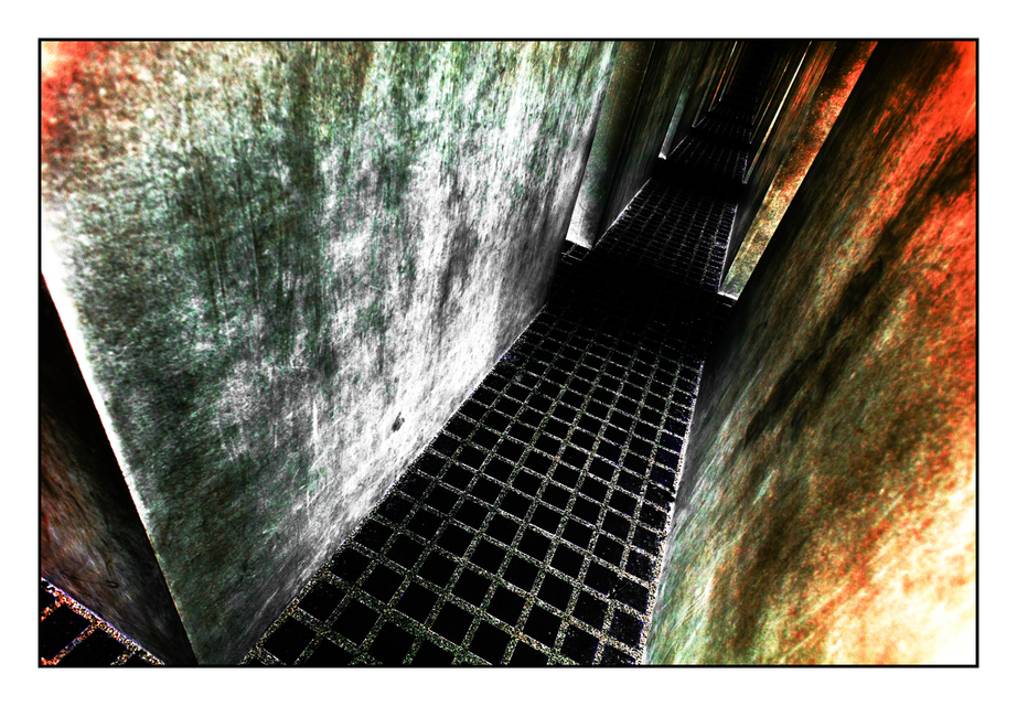 Color without Color - ID 001650