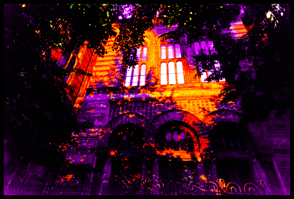 Berlin Synagogue II - ID 001725