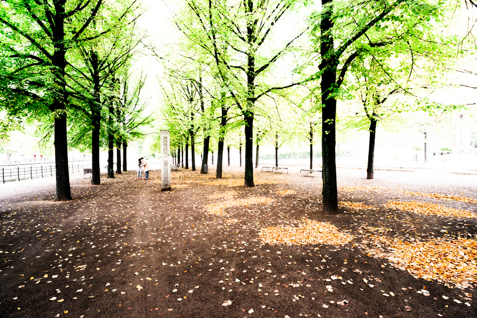 Pleasure Garden - ID 001744