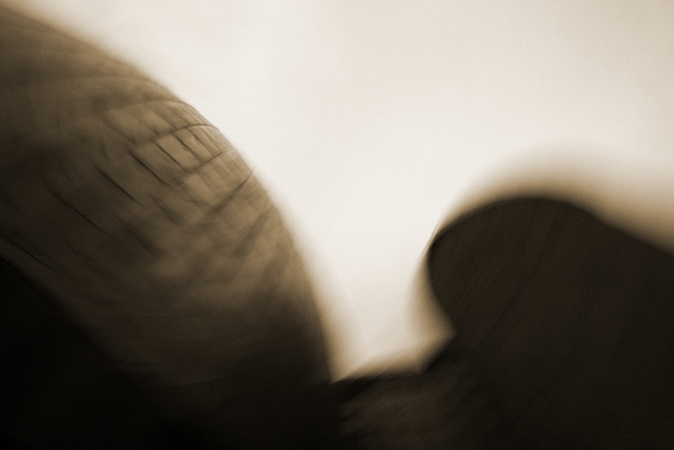 Planetarium IV - ID 001779