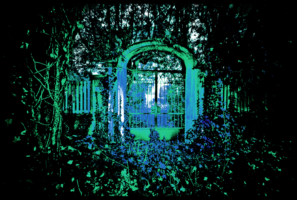 Rosebud Gate - ID 001918