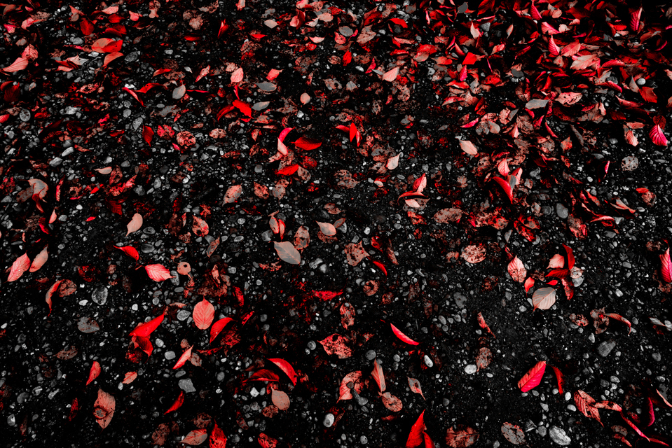 Blood Red - ID 001920