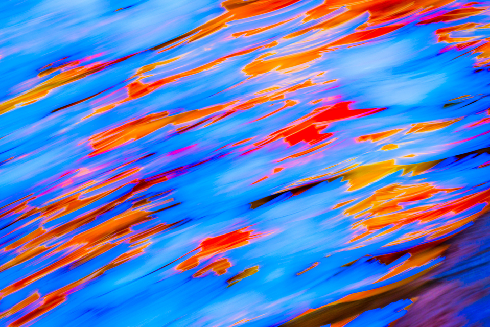 Dancing Tree II - ID 001932