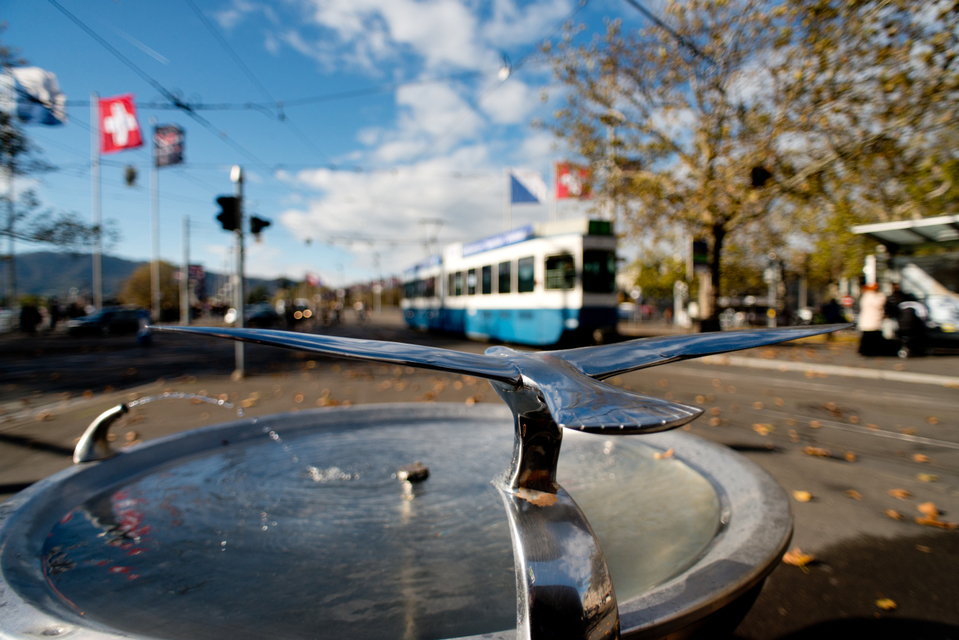 Wings above Zurich - ID 001940