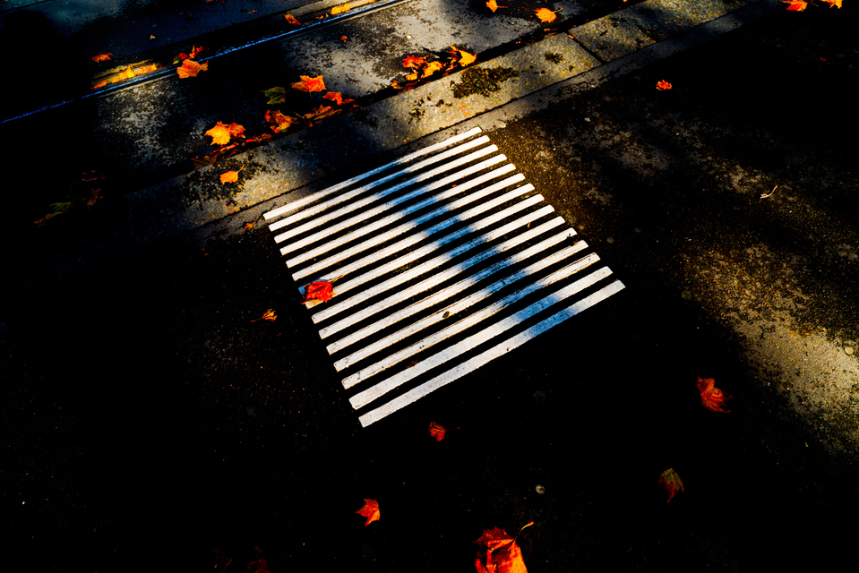 15 Stripes - ID 001941