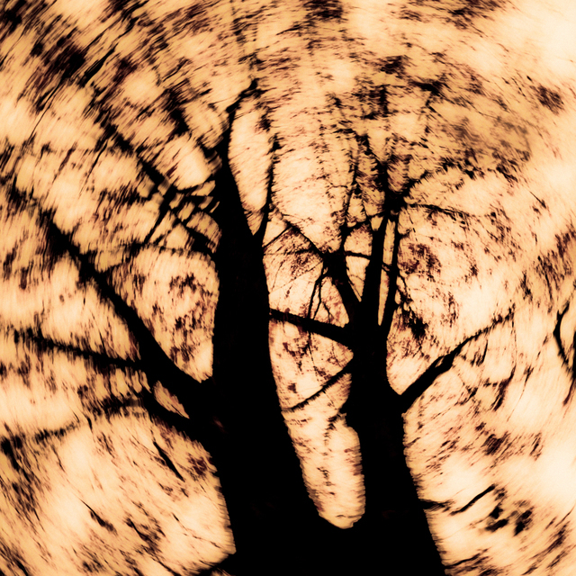 Two Arms - ID 001958