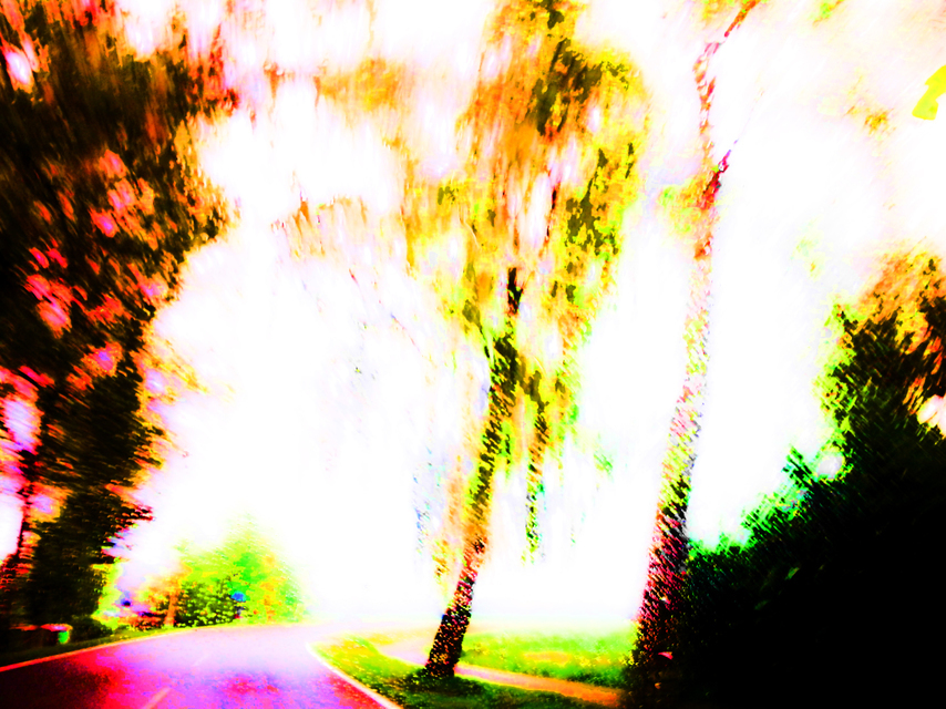 Painting - ID 002001