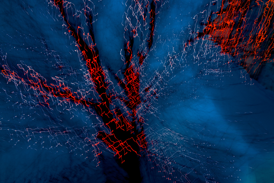 Dancing Lights I - ID 002012