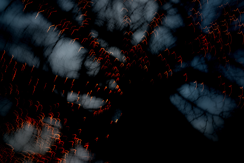 Dancing Lights VI - ID 002017