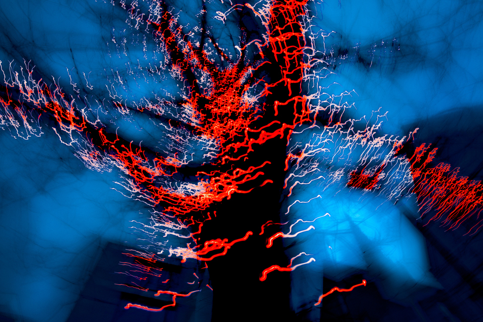 Dancing Lights XII - ID 002023