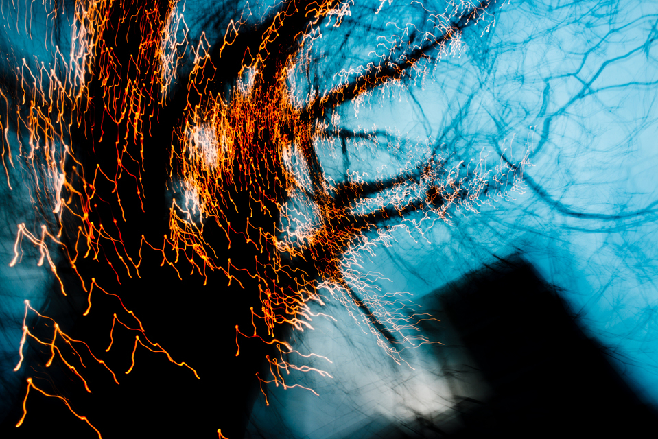 Dancing Lights XX - ID 002031