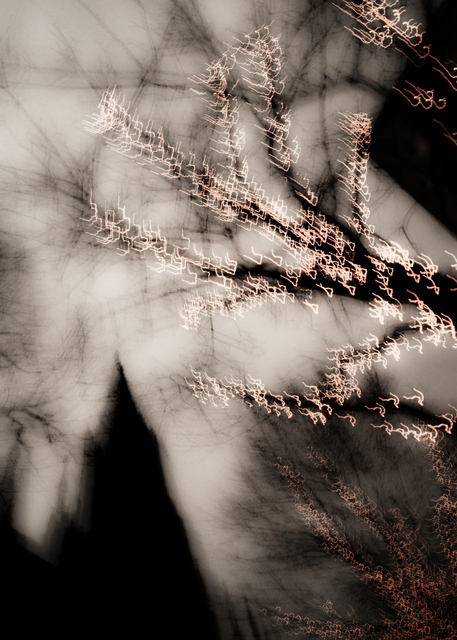 Dancing Lights XXXVII - ID 002048