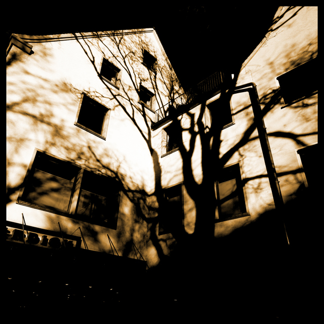 Tree Shadow - ID 002076