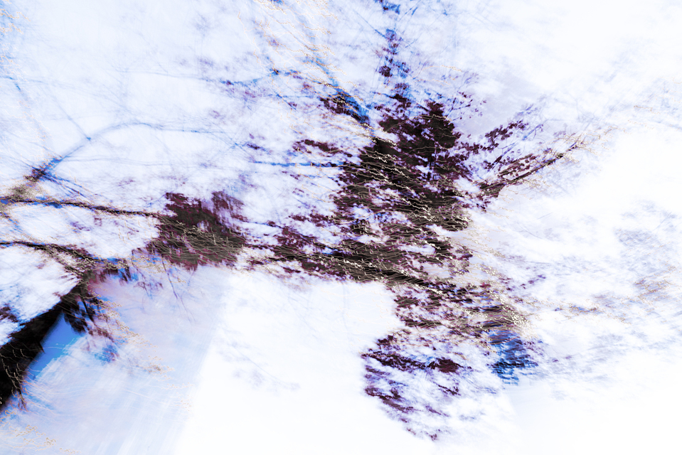 Dancing Lights XXXVIII - ID 002079