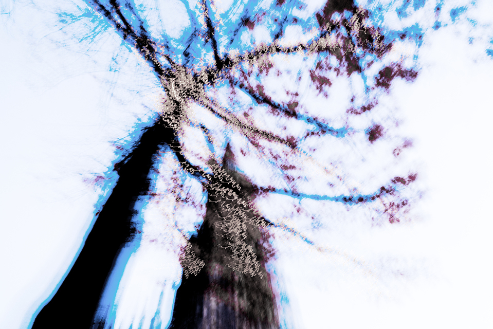 Dancing Lights XXXIX - ID 002080