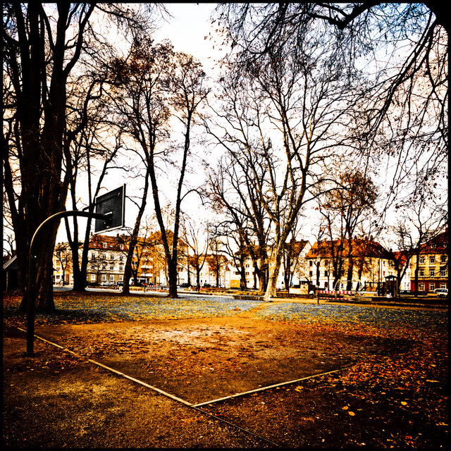 Winter Sleep - ID 002102