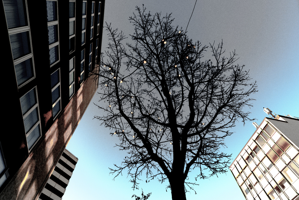 Post Xmas - ID 002117