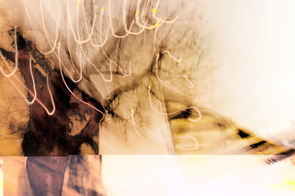 Tree and Sail - ID 002133