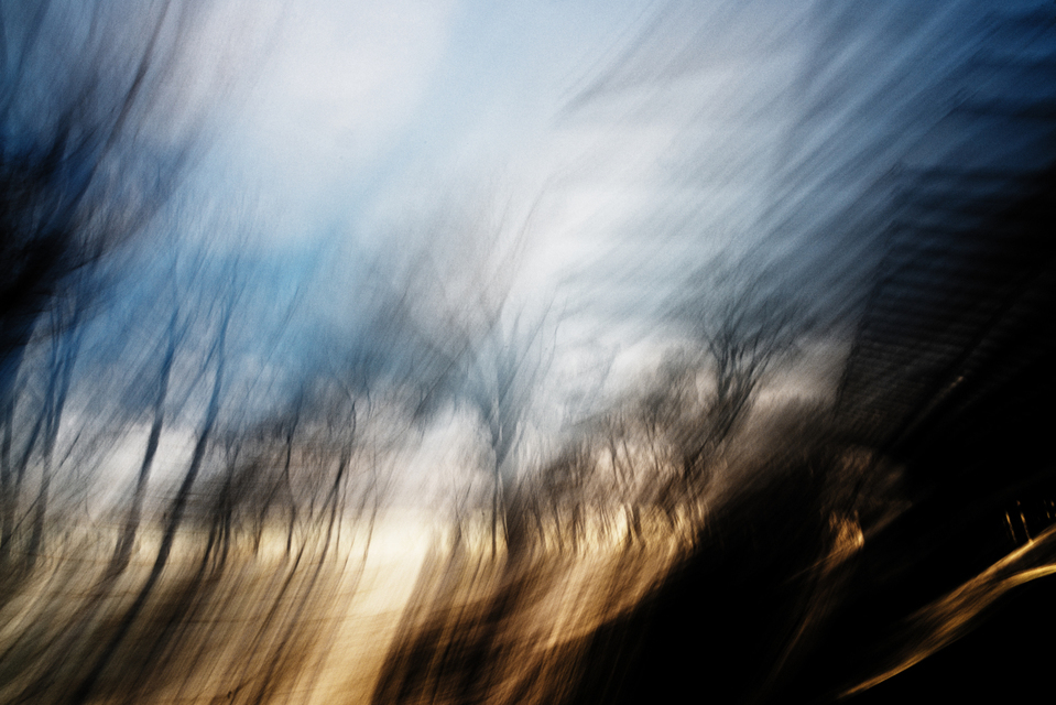 Outside Fence - ID 002185