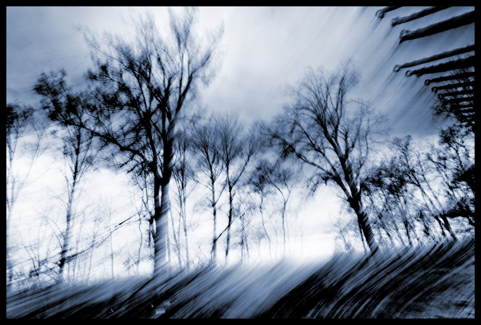 Nightdream of Freedom - ID 002187