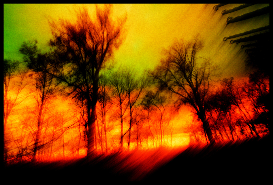 Daydream of Freedom - ID 002188