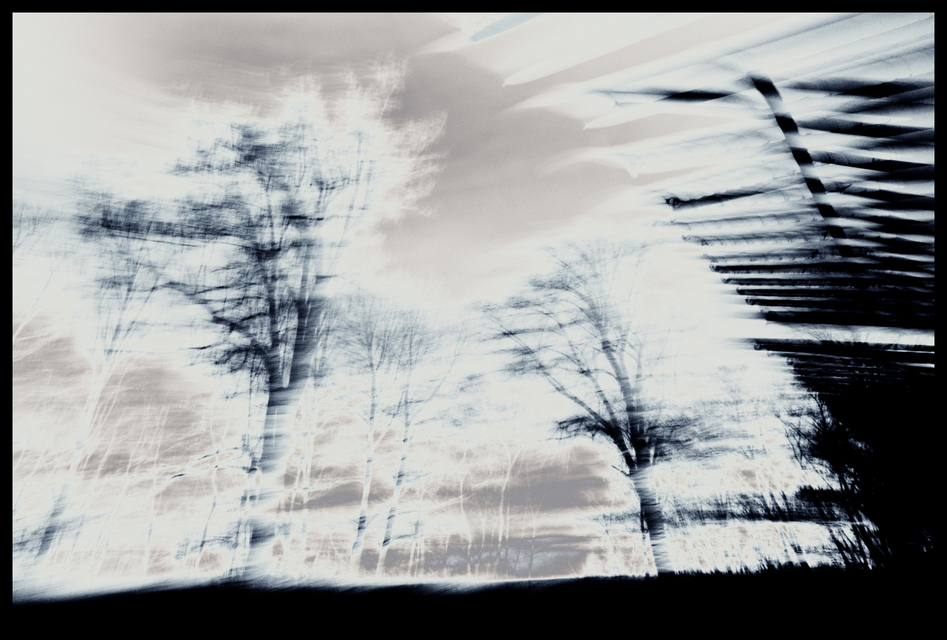 Vanishing the Dream of Freedom - ID 002189