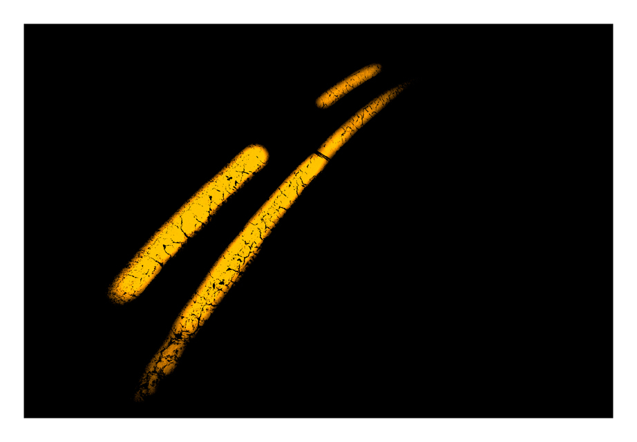 Light Runner - ID 002238