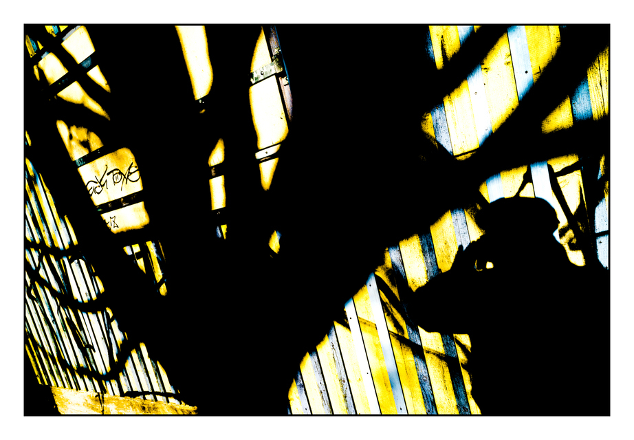 Shadow Play II - ID 002262