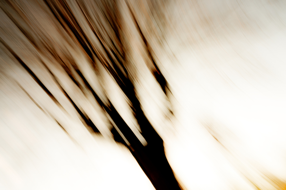 Mystical - ID 002266