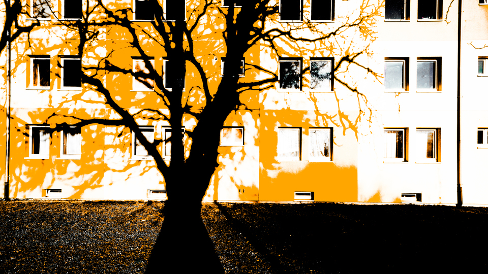 Wonderland I - ID 002267