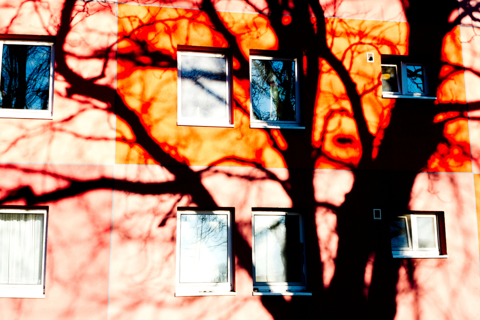 Wonderland II - ID 002268