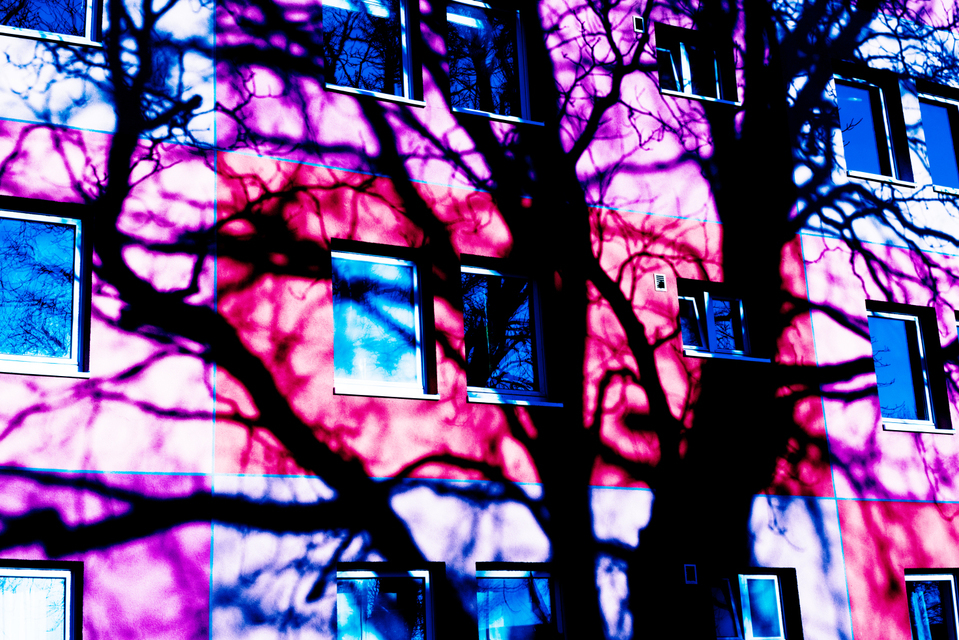 Wonderland V - ID 002271