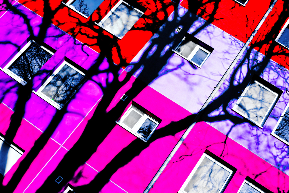 Wonderland VII - ID 002273