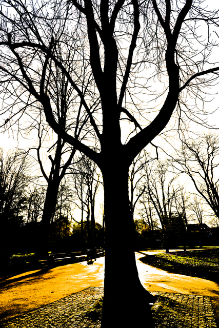 In the Shadow - ID 002282