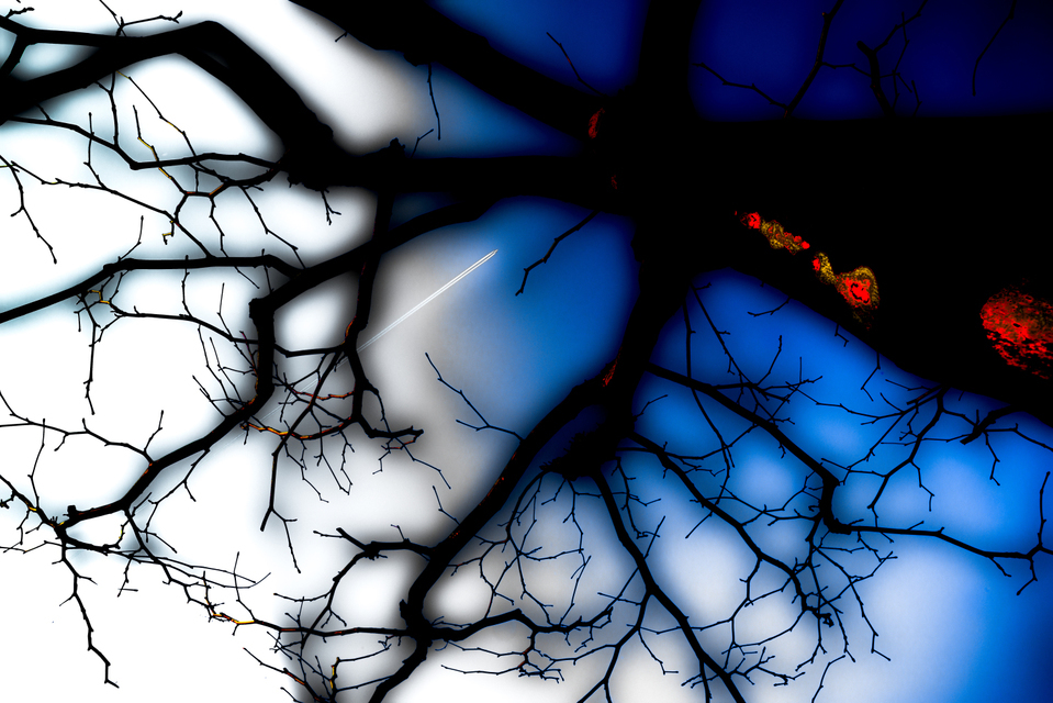 The Witch I - ID 002292