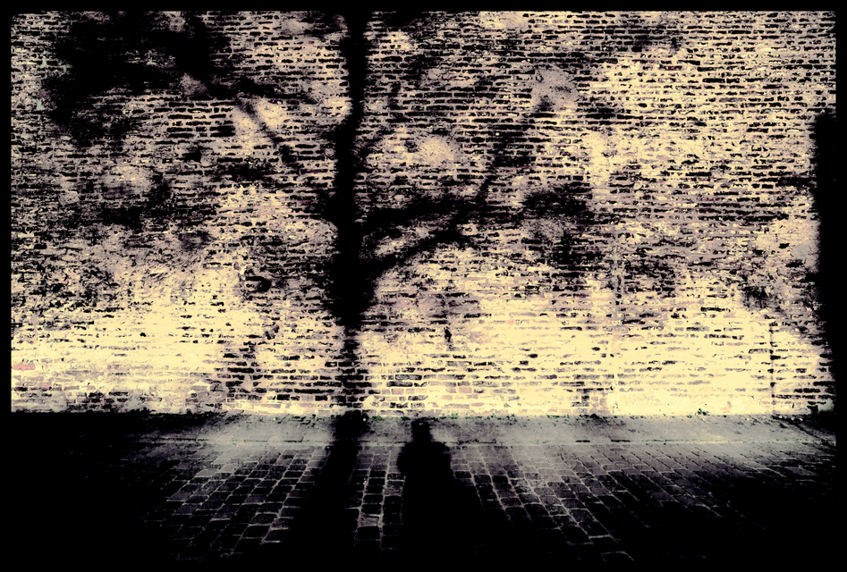 Shadow on the Wall - ID 002321