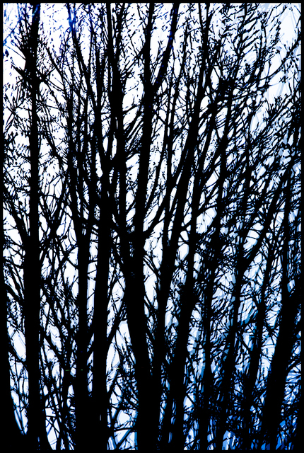 Structures II - ID 002328