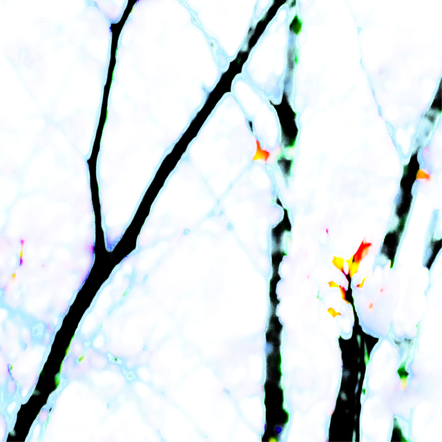 Black White - ID 002343