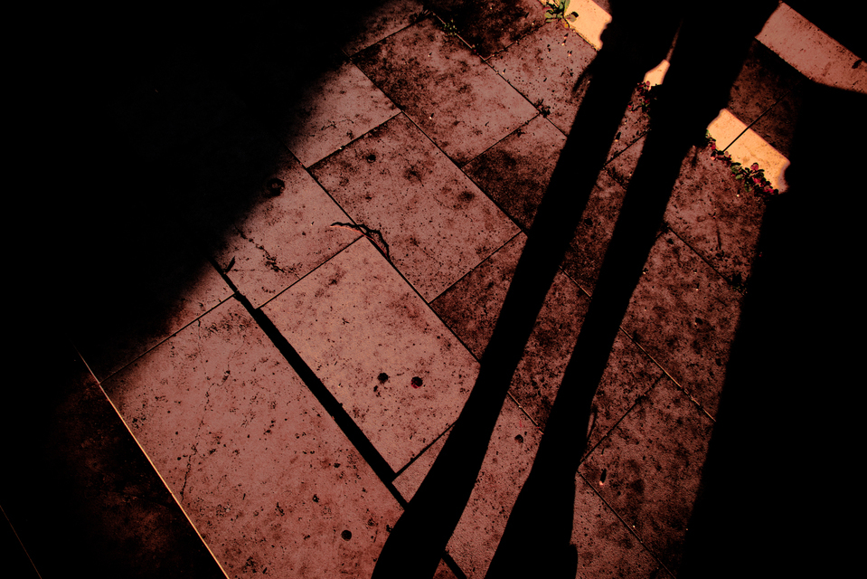 Legs on Stone - ID 002399